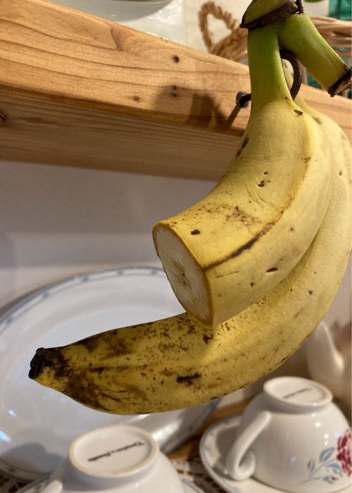 banana_hanging_cut